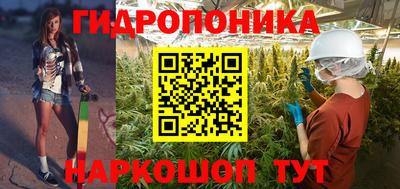 прущие грибы Ипатово